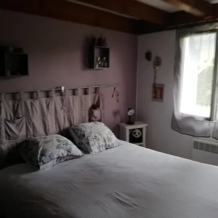 Maison Familiale Au Calme Avec Piscine En Bordure De Foret Salles (Gironde)