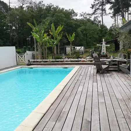 Maison Familiale Au Calme Avec Piscine En Bordure De Foret Holiday home